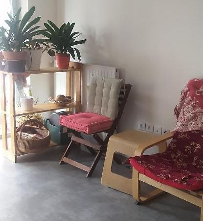 Studio Purpan Apartment Toulouse Exterior photo