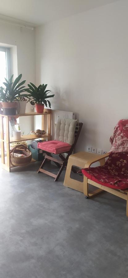 Studio Purpan Apartment Toulouse Exterior photo